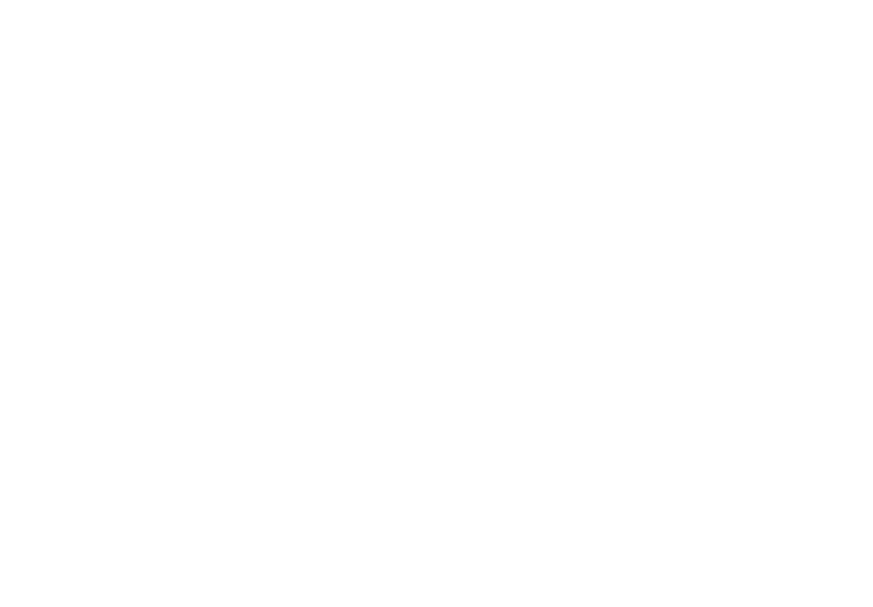 The Satori Concept White Logo